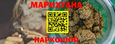 амф Гусев