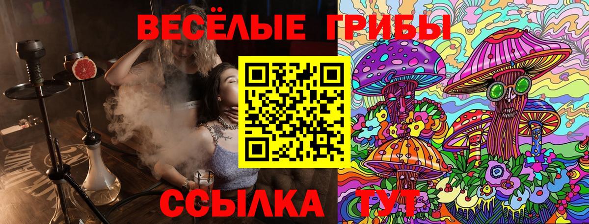 Галлюциногенные грибы ЛСД Кулебаки