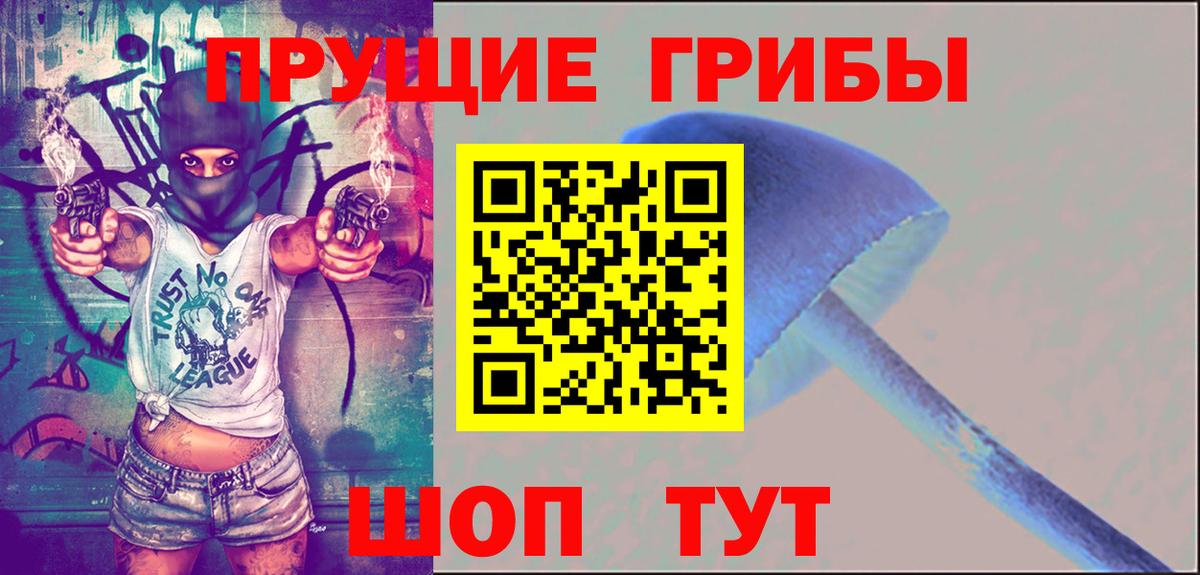 Псилоцибиновые грибы GOLDEN TEACHER  Псилоцибиновые грибы мицелий  сколько стоит  Вход с VPN  Кулебаки 